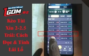 Kèo Tài Xỉu 2-2.5 Trái: Cách Đọc & Tính Lãi Lỗ Chính Xác